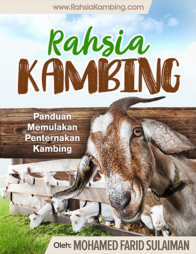 Panduan memulakan Projek Penternakan Kambing